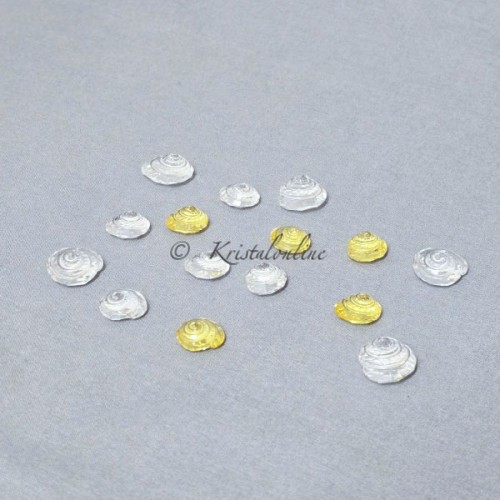 Mini Tolhoornschelpen (15 stuks)